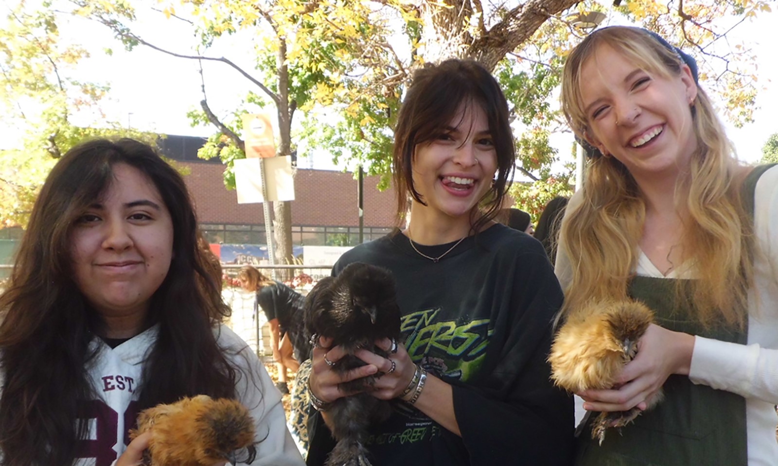 three people holding chickens at an event outside