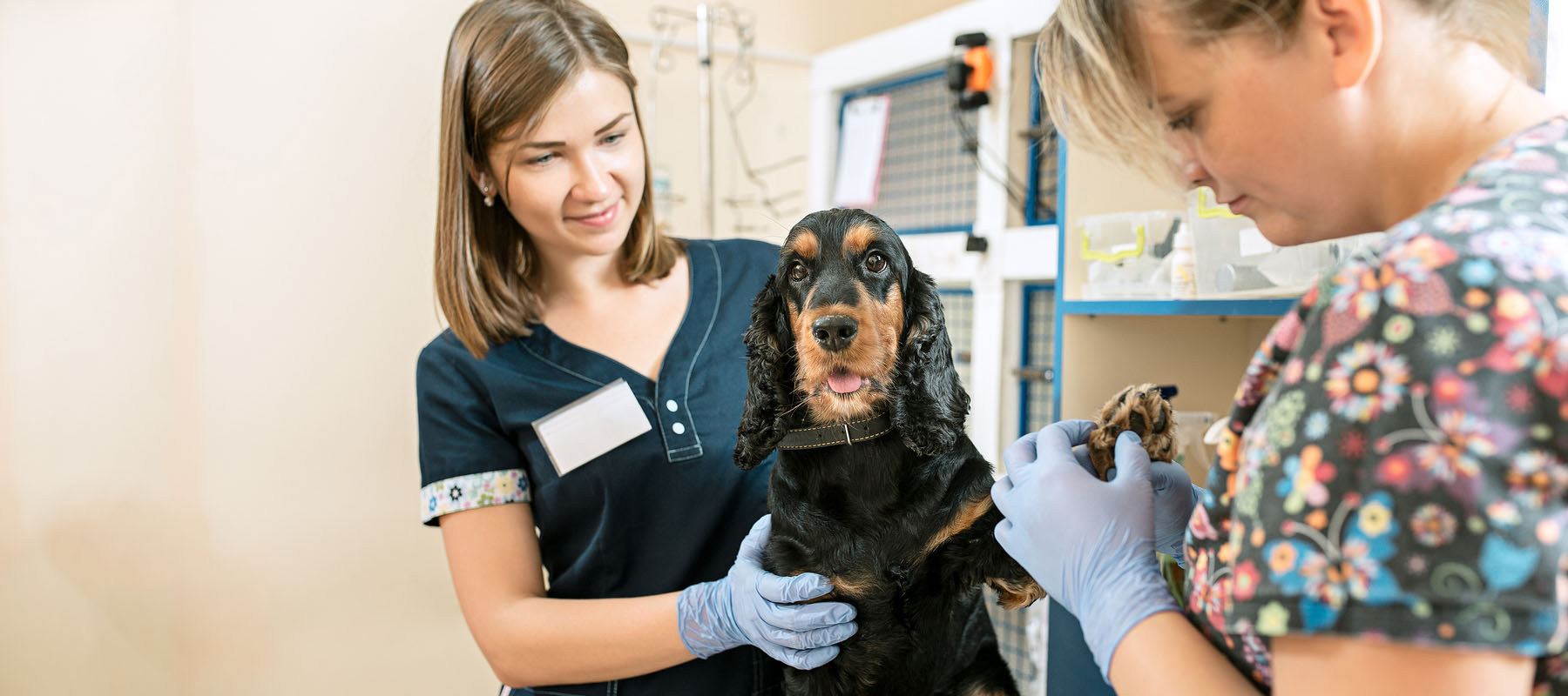 two vet techs in scrubs with a dog