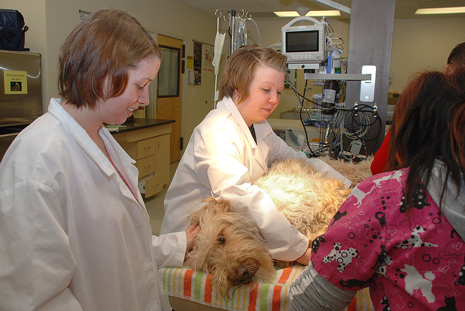 image of two female vet technicians with furry doggie
