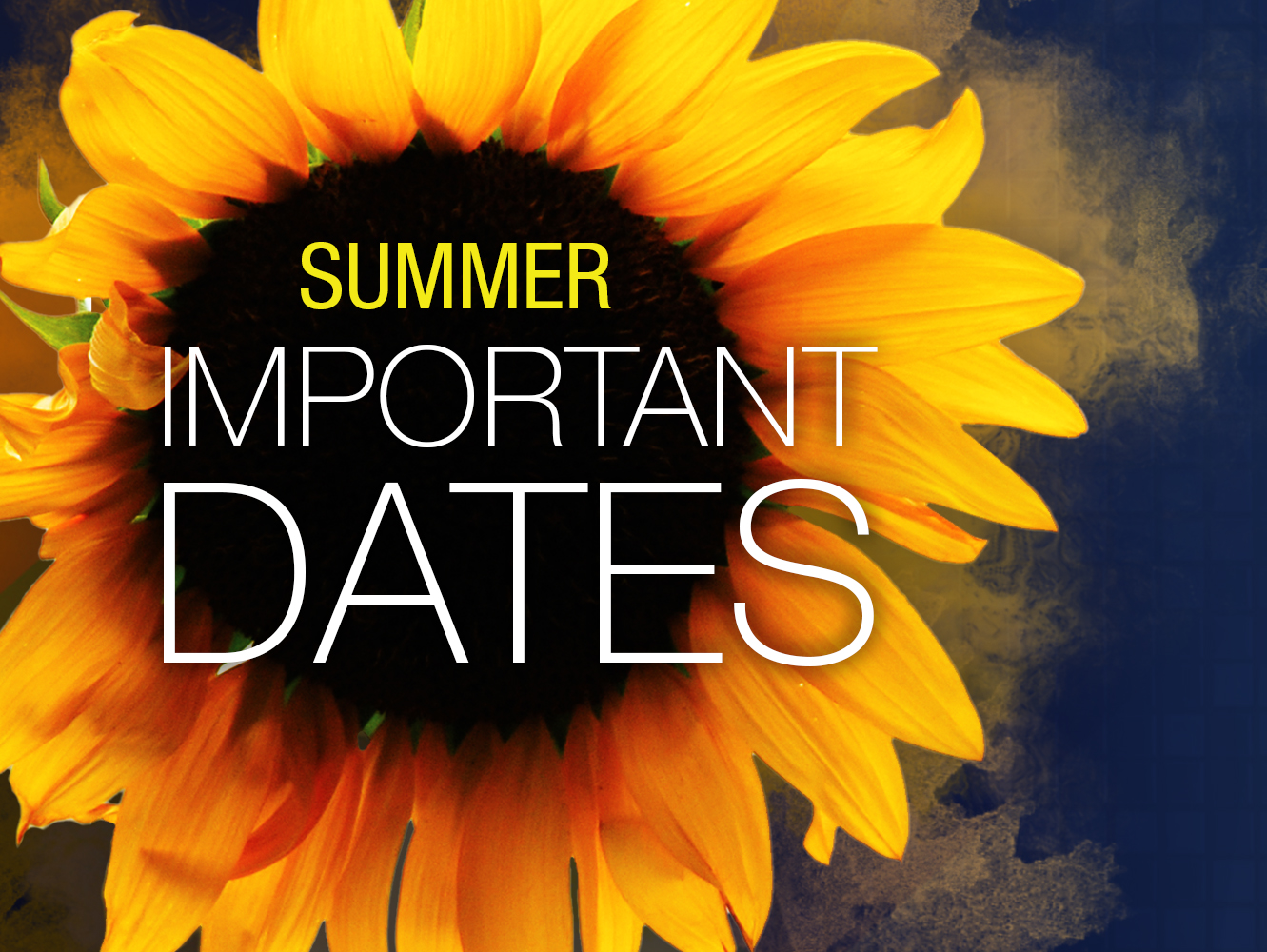 Summer Important Dates to Mark Your Calendar sunflower with text
