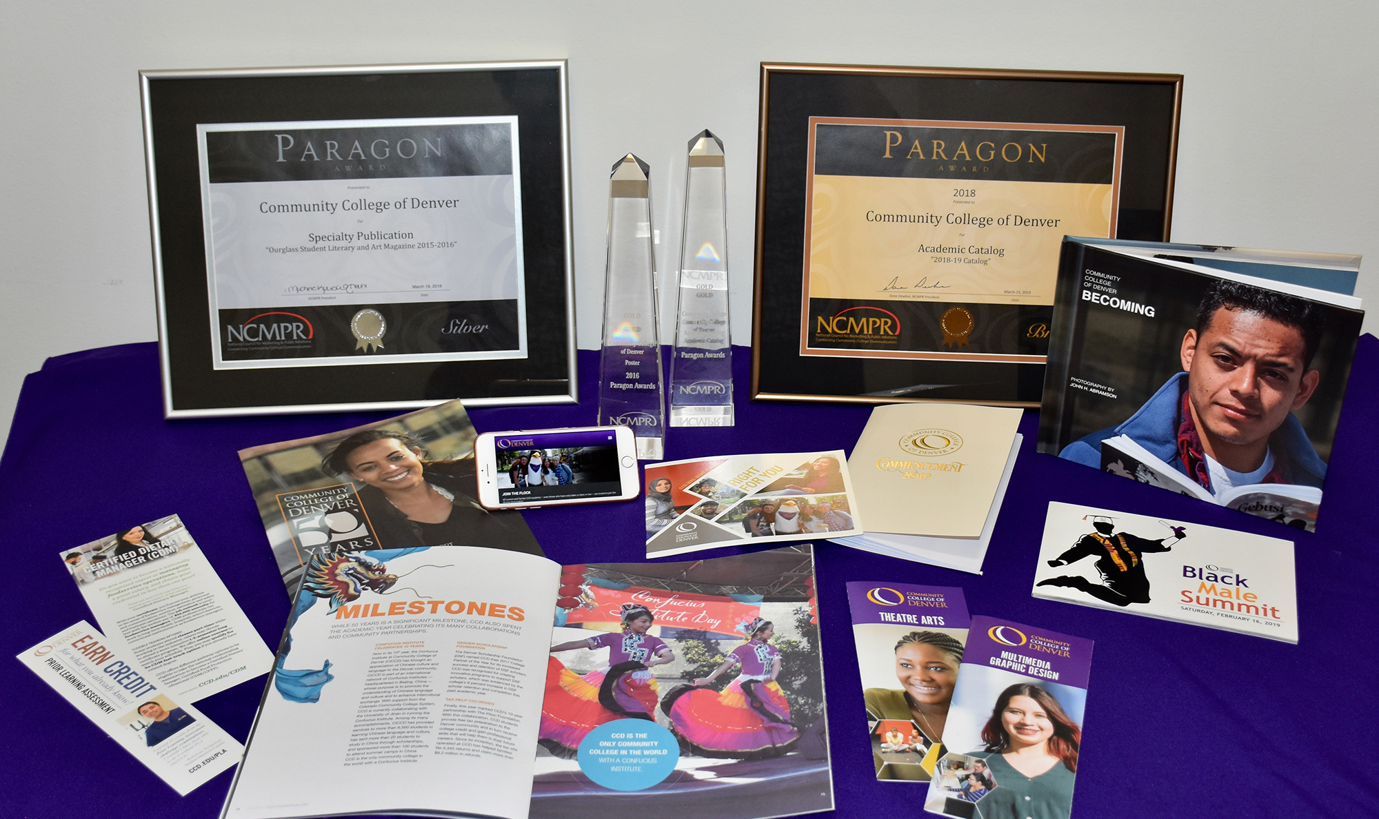 grouping of awards, publicaitons and website