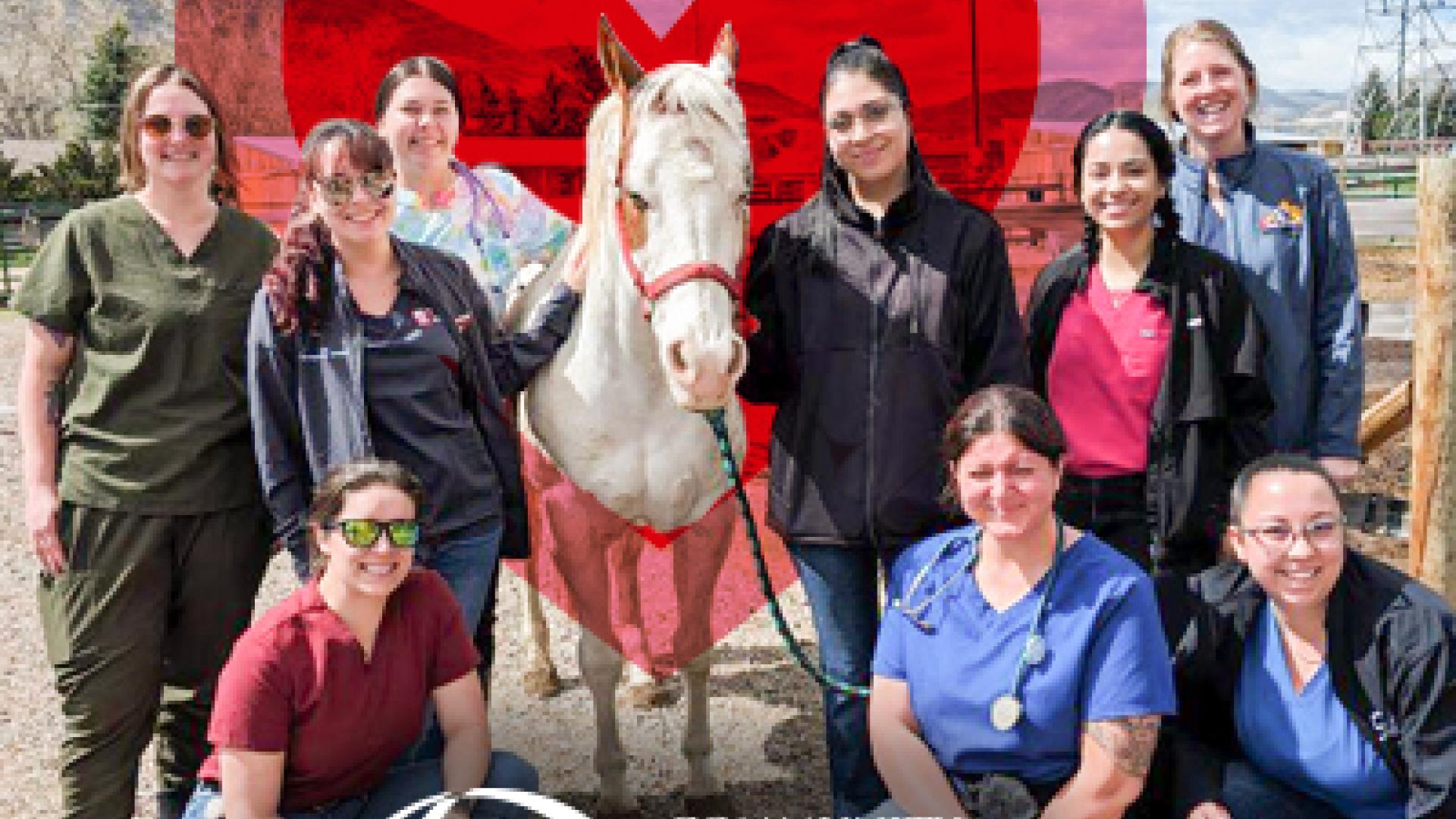 Vet Tech Students posing with a white horse. CCD logo. Heart around horse.