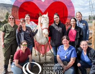 Vet Tech Students posing with a white horse. CCD logo. Heart around horse.