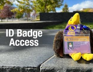 CCD mascot plushy with a CCD student ID Badge.