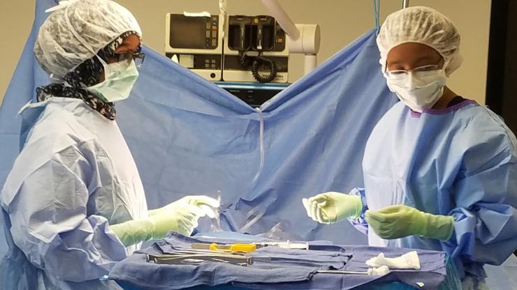 two women in surgical gear practicing in a lab