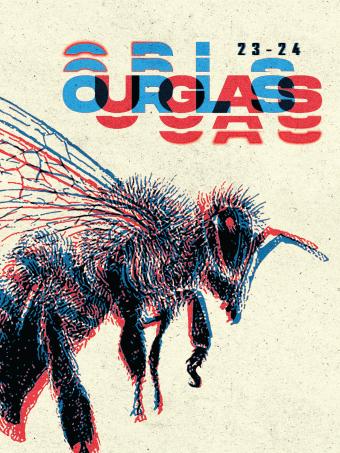 Ourglass cover photo of a bee 