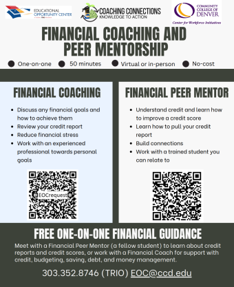 Document screenshot of financial coaching and financial peer mentor combo 