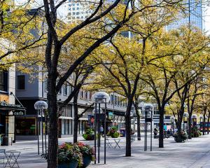Trees lining 16th Street in Downtown Denver.
