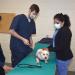 2 female and 1 male college students in blue scrubs working on a small white dog