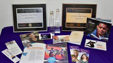 grouping of awards, publicaitons and website