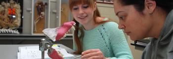 students in the vet tech look at a model of teeth of a canine