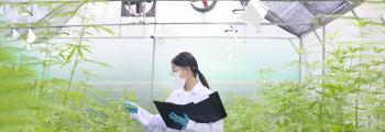 Scientist in lab coat in indoor cannabis growing operation